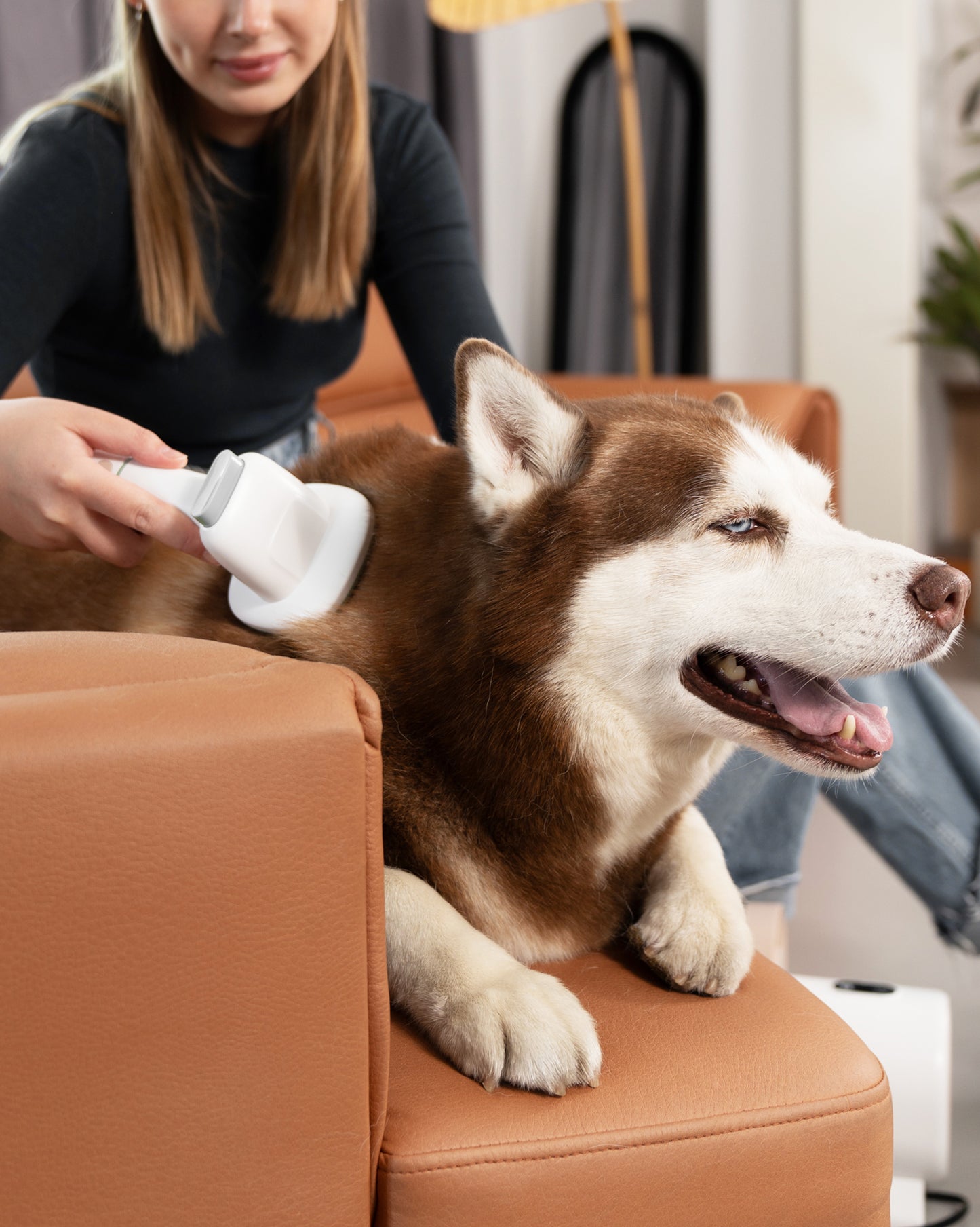Dog Grooming Kit with Vacuum, Cat Clippers, Suction 99% Pet Hair, Professional Pet Grooming Kit with 7 Proven Tools for Shedding Grooming, Cat Dog Grooming Vacuum Kit